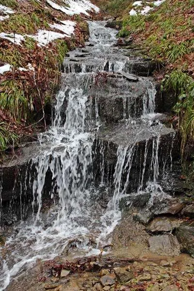 Izvoarele Minerale (Borcut)